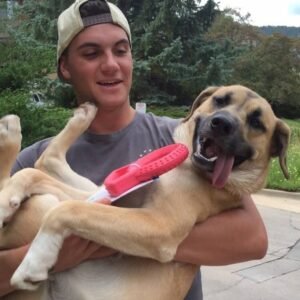 MSU Suicide: Student Zach Waltman Died Tragically; Michigan State University Mourns